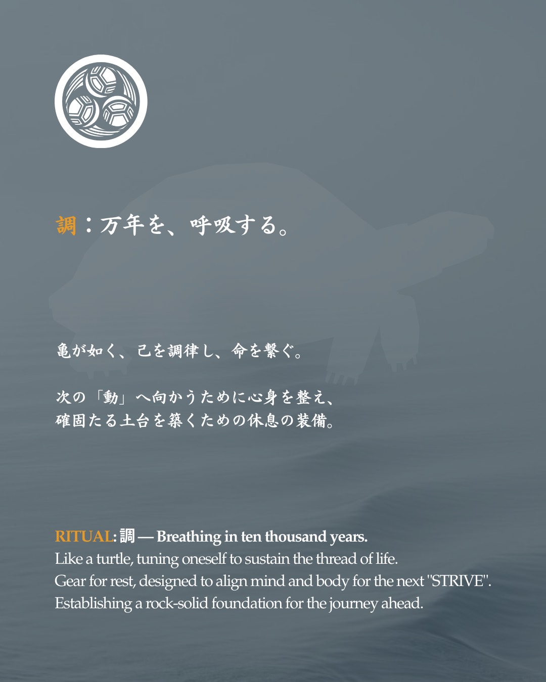 調：万年を、呼吸する